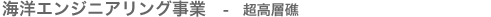 �C�m�G���W�j�A�����O - �����w��