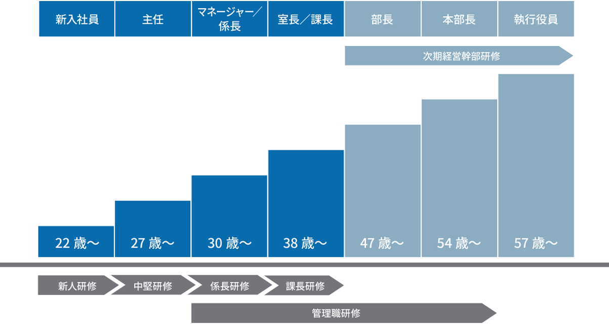キャリアステップチャート：新入社員（22歳〜）から執行役員（55歳〜）までの段階的なキャリアマップ